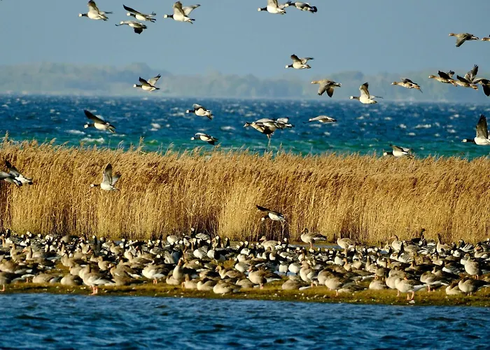 Meerchenhaus By Interhome *